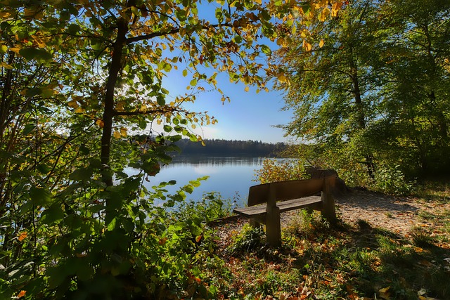 但他認為自 但他認為自